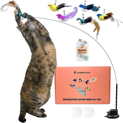 Interactive Catnip Bird Toy Set, Interactive Cat Toys for Indoor Cats, Cat Feather Toy, Self-Holding Suction Base, 5 Birds, Catnip Pouches, Feathers &amp; Bells, Realistic Bird Impression