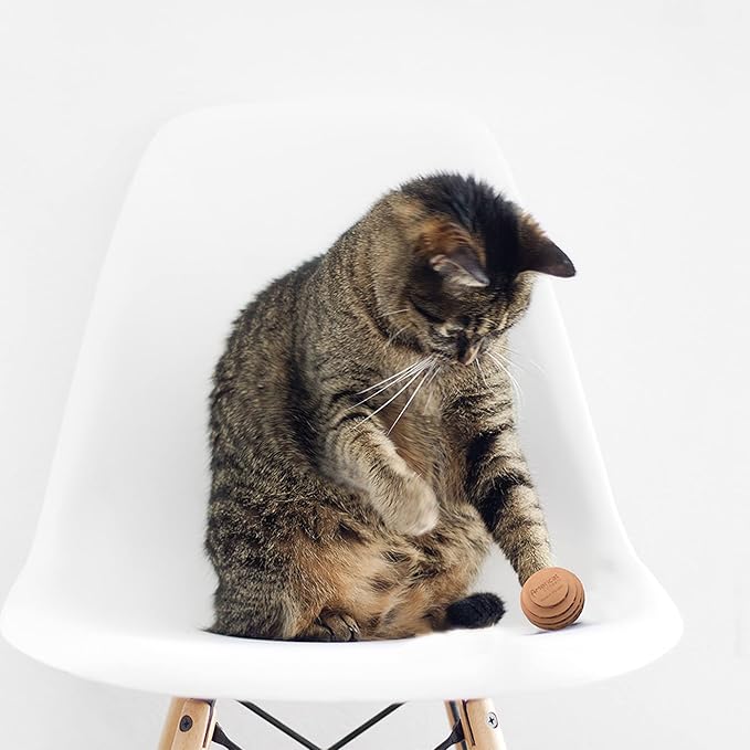 Cat Ball Toys by Americat – Made in USA – Safe Cardboard Cat Toys – for Interactive and Independent Play, Exercise &amp; Stress Relief for All Breeds &amp; Ages (Variety Pack of 3 Balls)