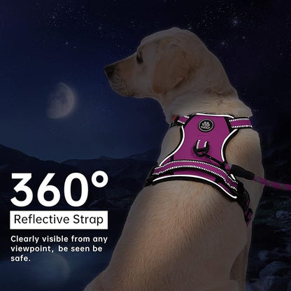 IVY&amp;LANE No Pull Dog Harness for Small Dogs, Dog Vest Harness with Leash, Safety Belt and Storage Strap, Fully Adjustable Harness, 360° Reflective Strip, Soft Handle (Fuchsia Pink,S)