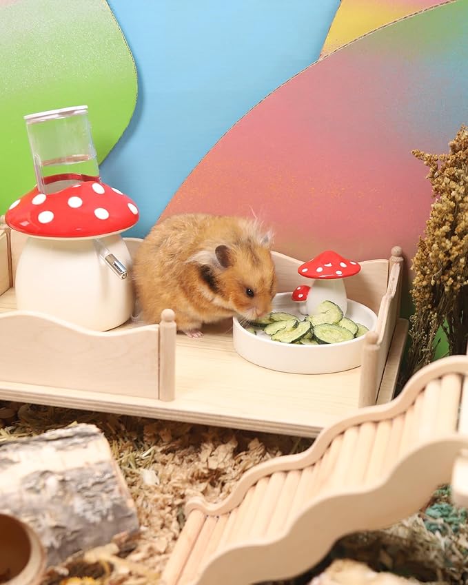 Niteangel Hamster Snack &amp; Treats Toy - Small Animal Natural Treat for Dwarf Syrian Robo Hamsters Gerbils Mice Lemmings Degus or Other Small-Sized Pets