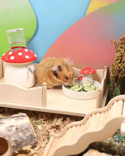 Niteangel Hamster Snack &amp; Treats Toy - Small Animal Natural Treat for Dwarf Syrian Robo Hamsters Gerbils Mice Lemmings Degus or Other Small-Sized Pets