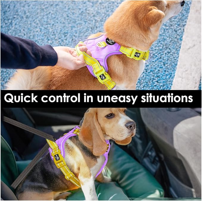 PHOEPET No Pull Dog Harness, Unique Colors Reflective Adjustable Dog Vest, with Soft Training Handle Metal Clips for Small Medium Large Dogs (Baby Purple Base &amp; Yellow Straps,S)