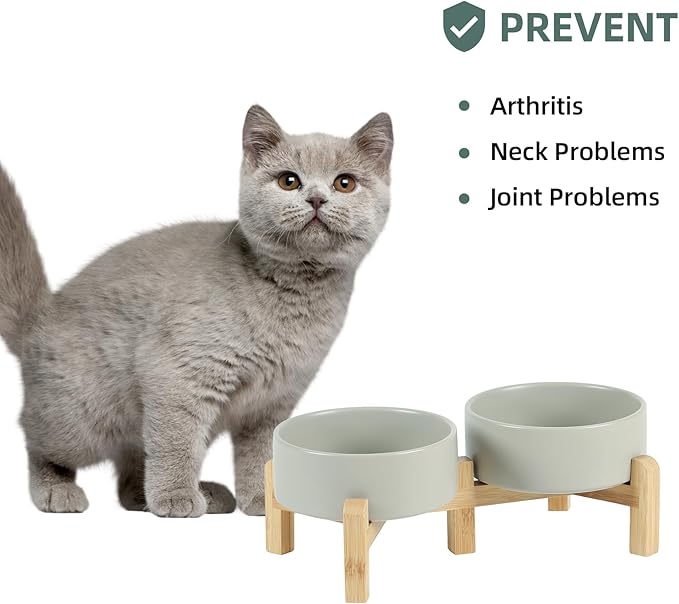 Ceramic Raised Double Bowls Set with Stand, 2 Heights Elevated, Food &amp; Water Bowls for Small Breed Dogs, Cats, Kitty, Weighted Dog Dishes, Pet Bowls(5.1&