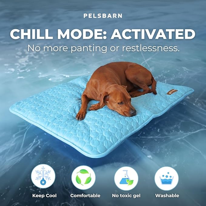 Dog Cooling Mat- Ice Silk Summer Comfort, Self Cooling, Non-Slip Dog Pad, Durable &amp; Washable, Mat for Large Dogs 65x95 cm, Support Shelter Dogs with Every Purchase (Blue)