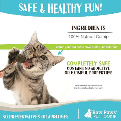 Raw Paws Catnip &amp; Silvervine Lollipops Interactive Cat Toy (6 Pack) - Silvervine Sticks for Cats - Catnip Ball Toy - Fresh Cat Nip - Silver Vine Dental Sticks