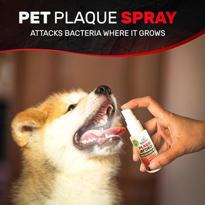 Pet Dental Spray, As Seen on TV, Eliminates Plaque &amp; Tartar, Helps with Plaque and Tartar and Provides Instant Fresh Breath - Includes 3 Months&