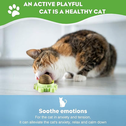 4 Pack Catnip Balls Roller Wall Ball for Cats Spinning Catnip Station Licking Balls Organic Cat nip Chew Ball for Teeth Cleaning &amp; Play