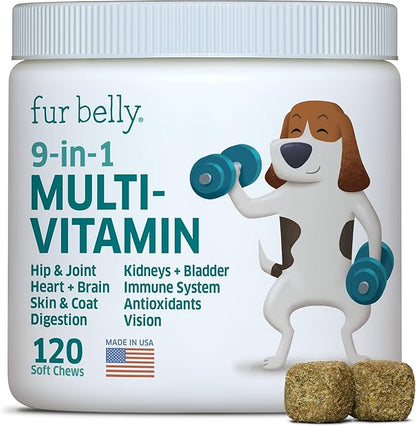 Dog Multivitamin - Dog Vitamins and Supplements - Digestive Enzymes &amp; Probiotics - Probiotics for Dogs - for Skin and Coat Allergies - Immune System &amp; Overall Health - 120 Soft Chew Dog Treats