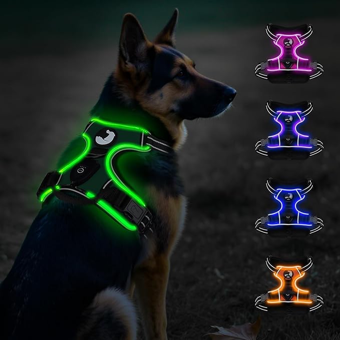Taglory Light Up Dog Harness, Rechargeable No Pull Dog Vest with 3 Lightning Modes, Reflective Dog Harness with 2 Leash Clips &amp; 4 Adjustable Slide Strips for Large Dogs, Turquoise-Green, XL