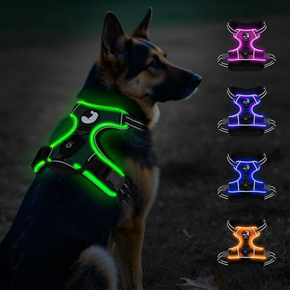 Taglory Light Up Dog Harness, Rechargeable No Pull Dog Vest with 3 Lightning Modes, Reflective Dog Harness with 2 Leash Clips &amp; 4 Adjustable Slide Strips for Large Dogs, Turquoise-Green, XL