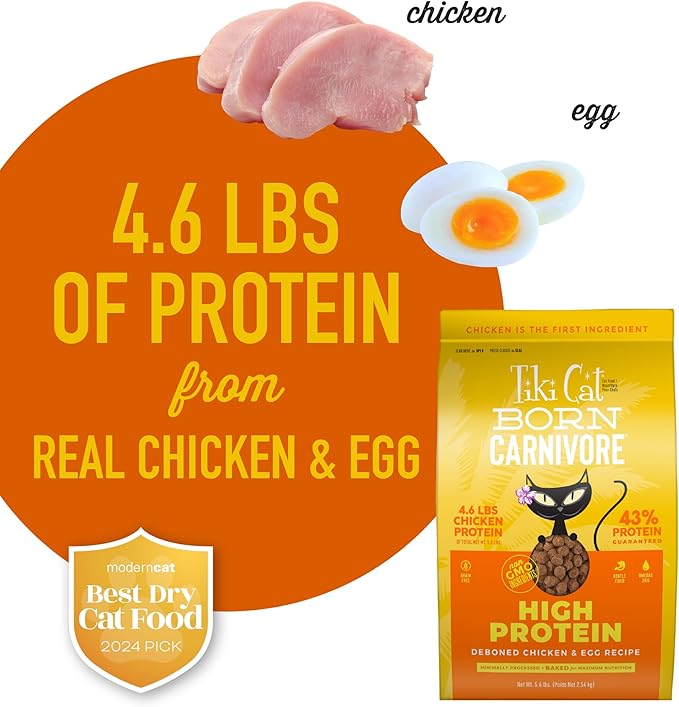 Tiki Cat Born Carnivore High Protein Dry Cat Food, Deboned Chicken &amp; Egg 5.6 lbs. Bag