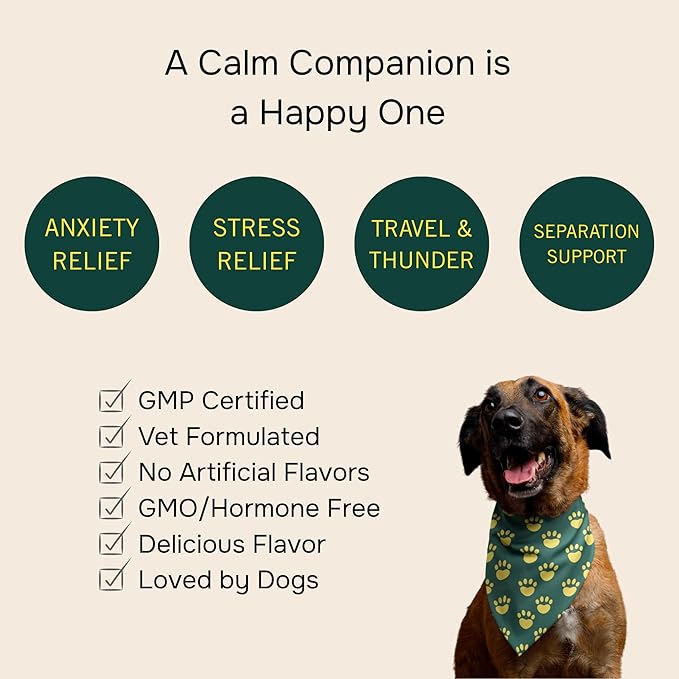 PetMeds Calm Supplement for Dogs - Anxiety &amp; Stress Relief with Vitamins, Theanine &amp; Lemon Balm - Supports Dogs During Travel, Thunder &amp; Separation - Beef &amp; Sweet Potato Flavor - 60 Soft Chews