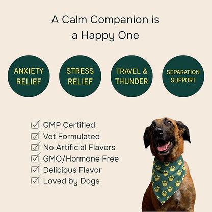 PetMeds Calm Supplement for Dogs - Anxiety &amp; Stress Relief with Vitamins, Theanine &amp; Lemon Balm - Supports Dogs During Travel, Thunder &amp; Separation - Beef &amp; Sweet Potato Flavor - 60 Soft Chews
