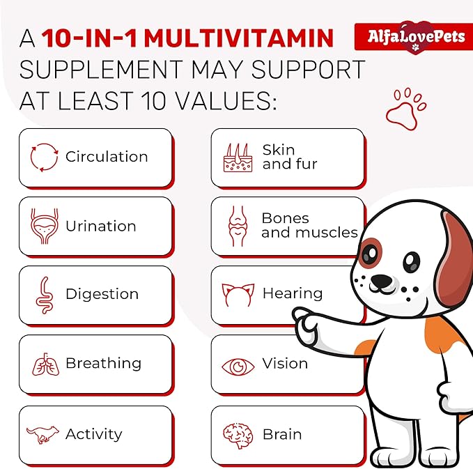 Liquid Multivitamin for Dogs – Cat Multivitamins for Indoor Cats – 10-in-1 Liquid Dog Vitamins B Complex, C, D3 – Digestion, Urination, Hip &amp; Joint, Skin &amp; Coat – Cranberry Flavor – 2 Oz