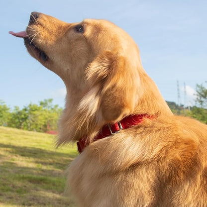 Hyhug Dog Collar for Large Dogs, Heavy Duty Red| Quick Release Nylon Buckle Collar, Adjustable &amp; Durable Pet Supplies for Boy &amp; Girl Dogs (Large, Red)