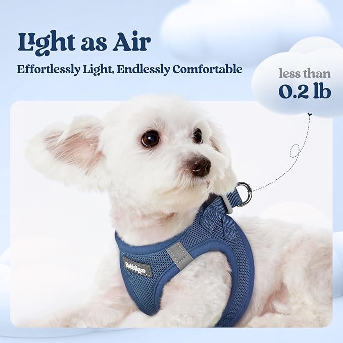 rabbitgoo Dog Harness Small Sized and Leash Set, Step in Soft Light Puppy Vest, Breathable Mesh Pet Harness, Reflective for Outdoor Safe Walking, Navy Blue XXXS