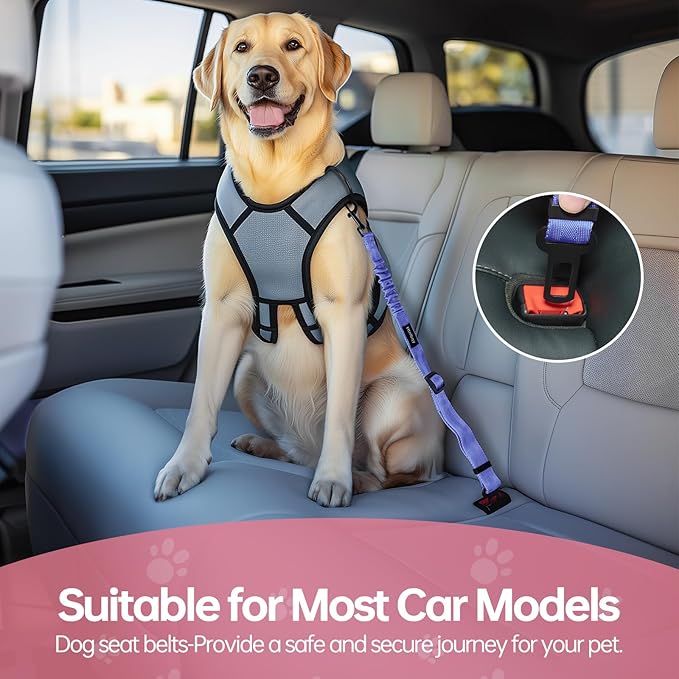 3 Pack Thickened Dog Seat Belt, Set Retractable Dog Car Adjustable Seatbelts for Vehicle Nylon Pet Safety Heavy Duty &amp; Elastic &amp; Durable Car Harness for Dogs, Blue