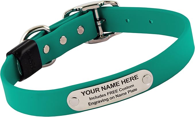 Biothane Custom Dog Collar – Waterproof, Stink-Proof Personalized Collar with Name &amp; Phone Number – Durable, Many Sizes and Colors – Assembled in USA – Assembled in USA (Teal)