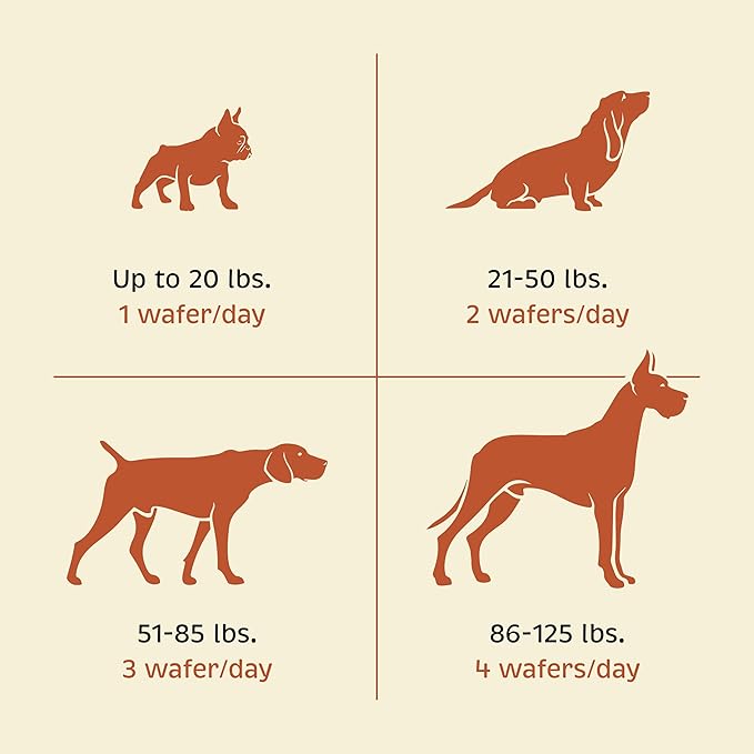 Health + Vitality for Dogs - Pet Supplement for Immune System, Coat, Liver Health &amp; More - Dog Multifunctional Support with Choline, Calcium, Zinc, &amp; Vitamins D and A - 90 Chewable Wafers