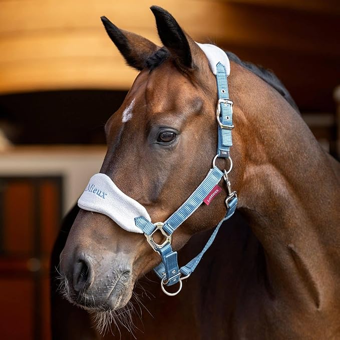 LeMieux Vogue Fleece Headcollar - Halter &amp; Leadrope - Extra Padding, Adjustable at Curb and Poll Strap