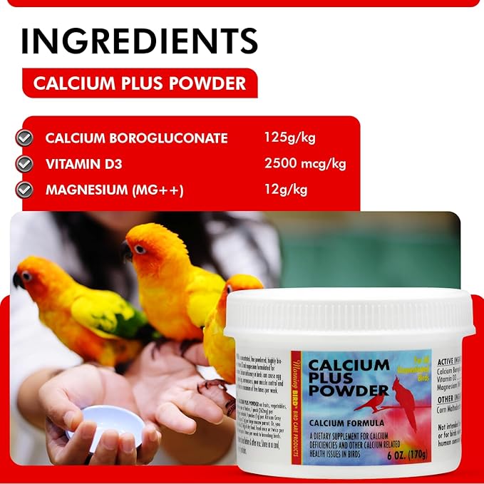 Morning Bird Calcium Plus Powder for Birds 6 oz – Calcium Carbonate Powder with Magnesium Glycinate &amp; Vitamin D – Bone Strength &amp; Immune Support Supplement – Calcium Formula for All Bird Sizes