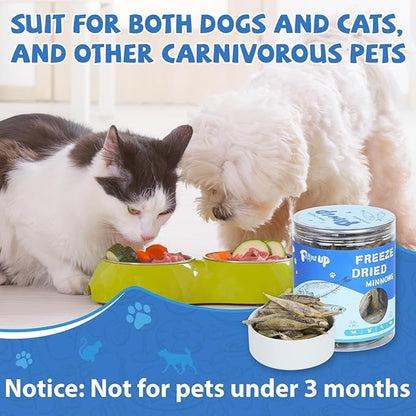 Freeze Dried Minnows Cat Treats – 100% Natural, Single-Ingredient Pet Snacks – Rich in Omega-3, Grain-Free – Healthy Training Rewards &amp; Meal Toppers for Dogs &amp; Cats, 2.8 oz