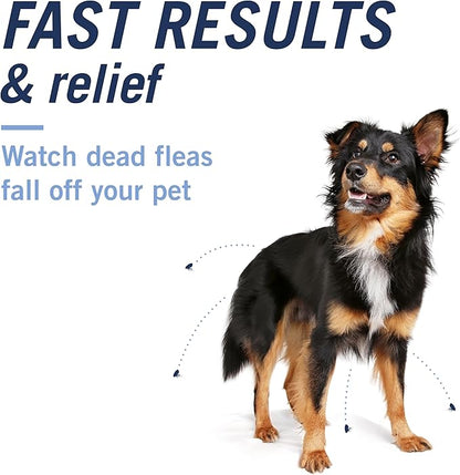 PetArmor CAPACTION (nitenpyram) Oral Flea Treatment for Dogs, Fast Acting Tablets Start Killing Fleas in 30 Minutes, Dogs 2-25 lbs, 6 Doses