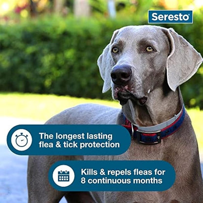Seresto Large Dog Vet-Recommended Flea &amp; Tick Treatment &amp; Prevention Collar for Dogs Over 18 lbs. | 8 Months Protection