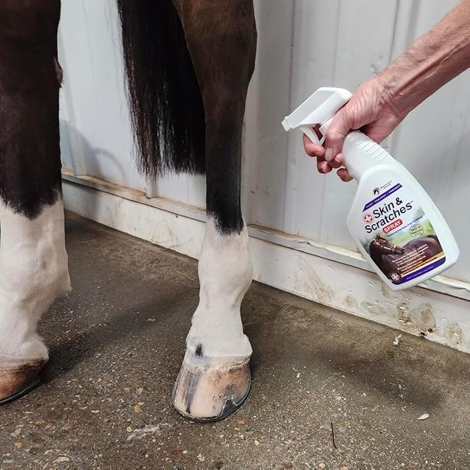 Show Out Skin &amp; Scratches 4 oz Concentrate - Fast Relief and Prevention for Horse Care. Use on Equine Scratches/Mud Fever, Girth Itch, Mange, Thrush, Rain Rot, Ringworm, etc w/Empty Spray Bottle
