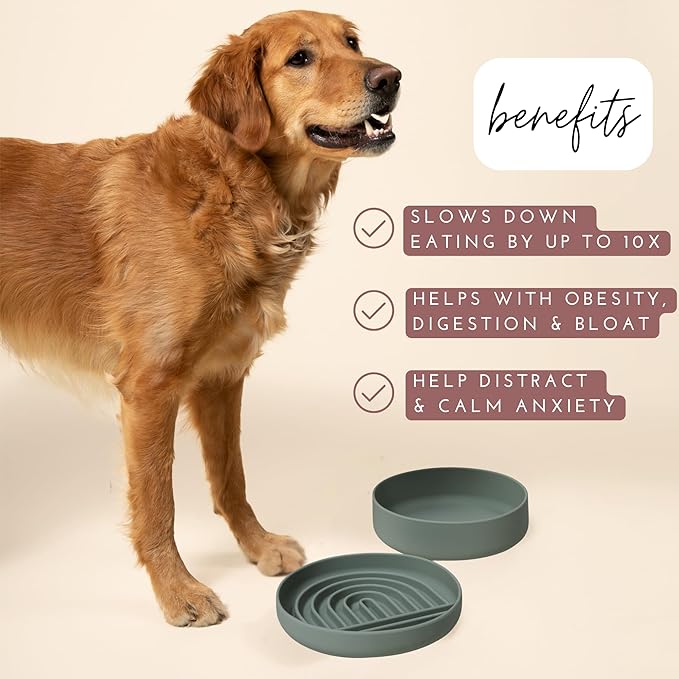 The Slowdown Bowl Silicone Slow Feeder for Dogs &amp; Puppies, Slow Eating, Modern Lick Mat Design, Reduces Gulping, Fits 2.5 Cups 9.5” Across x 1.5” Tall, Mealtime Challenge, Large-Spruce