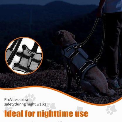 Ayquez Dog Lift Harness with Storage and Transport Bag, Dog Harness with Handle for Lifting &amp; Hip dysplasia, arnés para Perros pequeños, pechera para Perros (Gray, L)