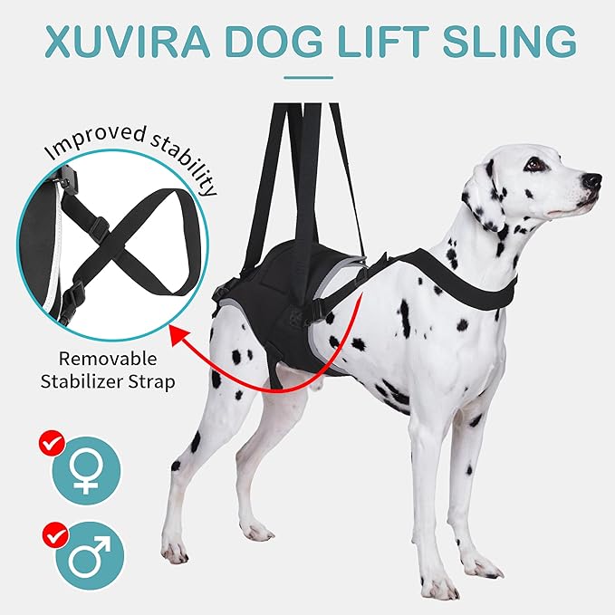 Dog Lift Harness for Small Dogs, Adjustable Rear Leg Support Sling for Hip Dysplasia, Arthritis, Weak Hind Legs, Post-Surgery Recovery, Comfortable &amp; Secure with Sturdy Buckles, S