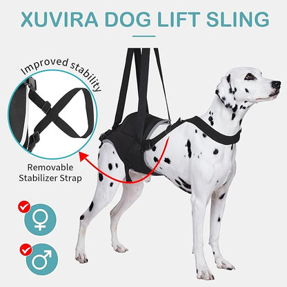 Dog Lift Harness for Small Dogs, Adjustable Rear Leg Support Sling for Hip Dysplasia, Arthritis, Weak Hind Legs, Post-Surgery Recovery, Comfortable &amp; Secure with Sturdy Buckles, S
