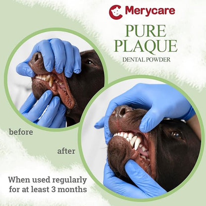 Pure Plaque Off Vet-Approved Dental Powder for Dogs &amp; Cats | 100% Natural Teeth Cleaner with Seaweed | Plaque &amp; Tartar Remover | Freshens Breath | No Brushing Needed (50g)