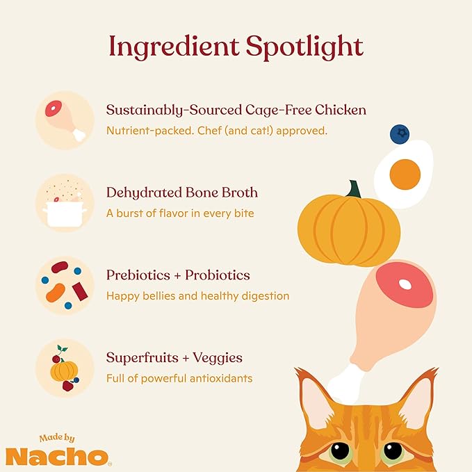 Made by Nacho Dry Cat Kibble 11lb Bag, High Protein and Grain-Friendly Premium Cat Food, Cage-Free Chicken &amp; Pumpkin Recipe, Infused with Bone Broth for Hydration, Limited Ingredients, Single Bag