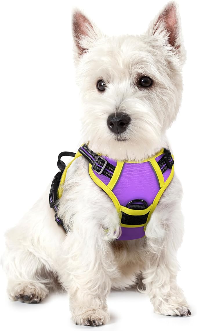 rabbitgoo Dog Harness No Pull with 2 Leash Clips, Adjustable Soft Padded, Reflective Oxford No Choke Pet Vest with Easy Control Handle for Puppy, Purple &amp; Yellow, XS