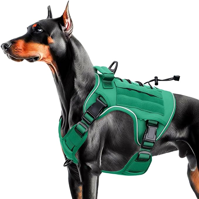 Heavy-Duty Tactical Dog Harness for Large Dogs, No Pull Adjustable Reflective Pet Vest with Molle System, K9 Military-Grade Control for Service Training, Outdoor &amp; 10+ Breeds, Turquoise, Large
