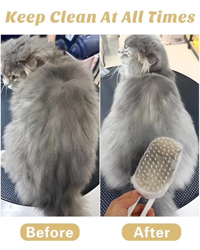 6 in 1 Cat Steam Brush for Shedding, Portable Anti-Static Grooming Comb for Cats &amp; Dogs, Steam Misting Water Brush, Self-Cleaning Pet Hair Remover, Indoor Cat Spray Brushes for Cats &amp; Dogs