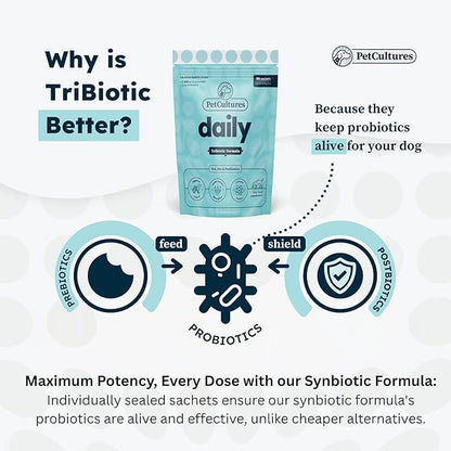 Daily Synbiotic Formula - A TriBiotic Blend with 6 Strains, B-Vitamins, and Digestive Enzymes in 30 Packs