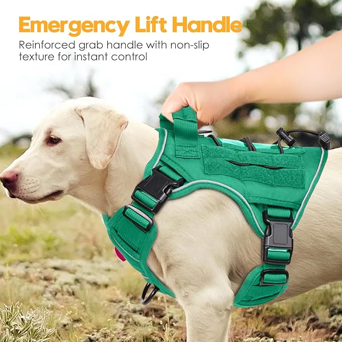 Heavy-Duty Tactical Dog Harness for Large Dogs, No Pull Adjustable Reflective Pet Vest with Molle System, K9 Military-Grade Control for Service Training, Outdoor &amp; 10+ Breeds, Turquoise, Small