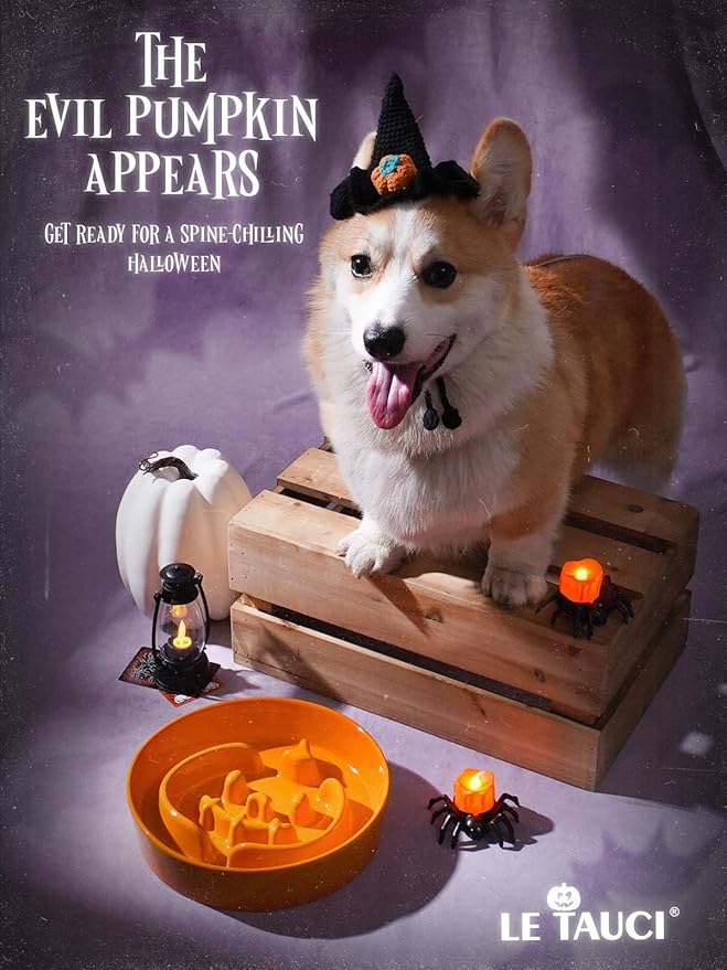 LE TAUCI Ceramic Puzzle Feeder Elevated 3 Cup with Wood Stand for Small Medium Dog &amp; Puppy, Fast Eater Raised Dish Pumpkin Orange