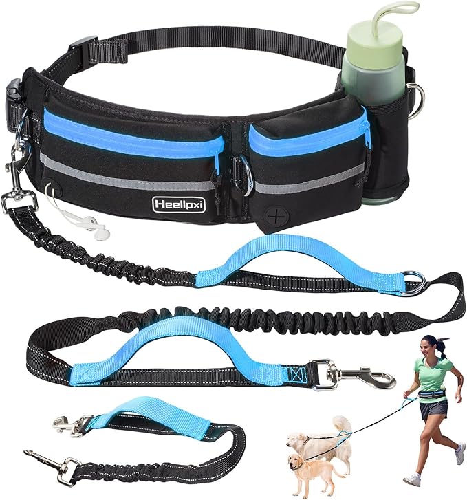 Hands-Free Waist Leash with Pouch for Two Dogs,Reflective Stitching, Dual Handle &amp; Bungee Retractable Design – Ideal for Medium to Large Dogs (Blue) – Dog Walking Accessories