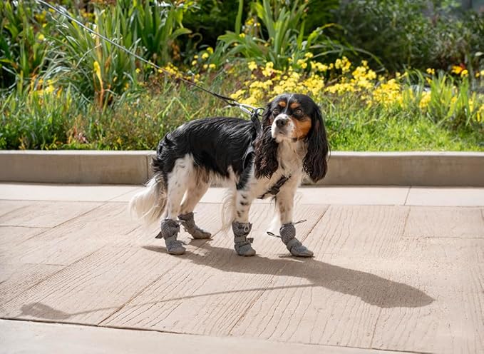 Canada Pooch Dog Boots for Hot Pavement - Dog Boots &amp; Paw Protectors with Anti Slip Rubber | Water Friendly, Breathable Dog Shoes for Hot Days, Great for Dogs Grey - Size 1