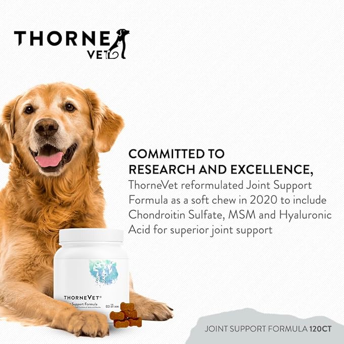 ThorneVET Joint Support Formula – Dog &amp; Cat Joint Health Support, 120 Soft Chews