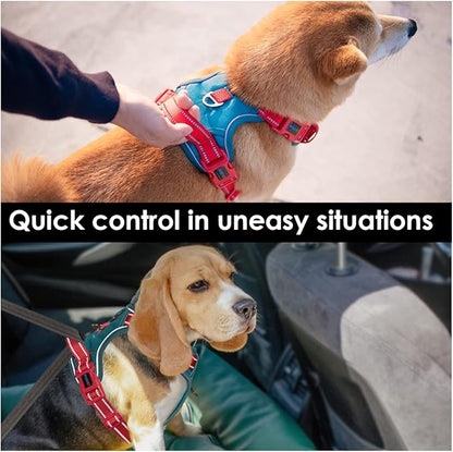 PHOEPET No Pull Dog Harness, Unique Colors Reflective Adjustable Dog Vest, with Soft Training Handle Metal Clips for Small Medium Large Dogs (Teal Base &amp; Red Straps,XS)