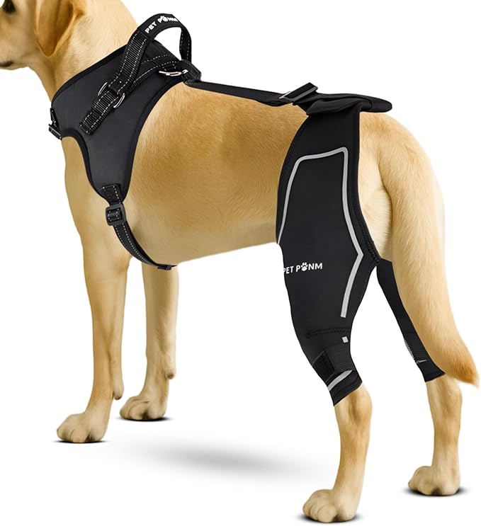 Comfortable Dog Knee Brace for Both Hind Legs with Harness - for ACL Tear, Luxating Patellae, Osteoarthritis &amp; Instability - for Recovery &amp; Injury Prevention in Active/Aging Dogs - (XLarge)