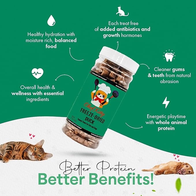 Freeze-Dried Duck Treats for Cats &amp; Dogs – 100% Human Grade, Single Ingredient, High-Protein, Healthy Snack – No Additives or Preservatives – 1.5oz - Inspected &amp; Tested in USA