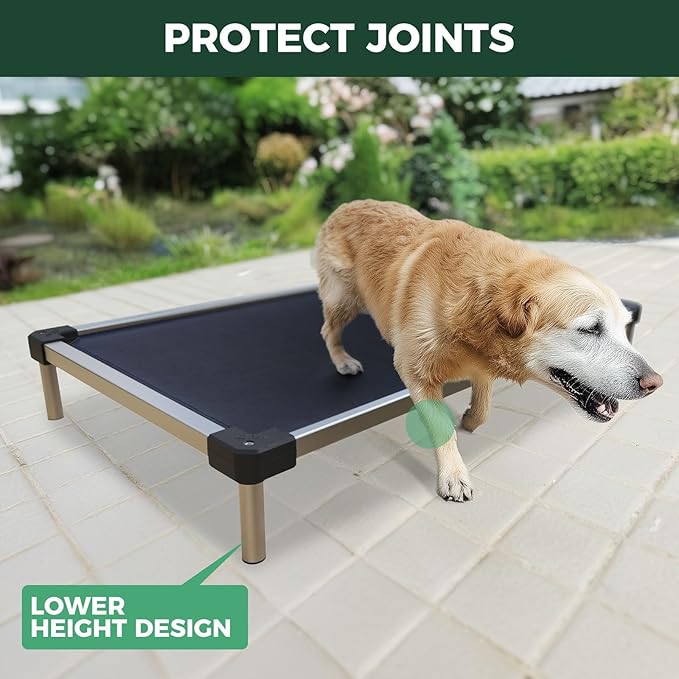 FXW TitanNest Chew-Proof Elevated Dog Bed, Raised Cot for Indoor/Outdoor/Camping Use, Durable &amp; Waterproof Cooling Pet Bed for Medium Dogs, 41.0" L x 27.0" W x 5.0" H, Black