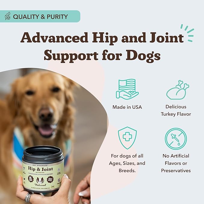 Natural Dog Company Vet Strength Hip &amp; Joint Chews for Senior Dogs (90ct) Joint &amp; Flexibility Support, Arthritis Relief for Senior Dogs, 1.3X Glucosamine, 2X Green Lipped Mussel &amp; MSM for Dog Mobility