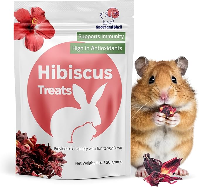 Snout and Shell Hibiscus Treats – 100% Natural Dried Flowers for Small Pets – Immunity Support &amp; Antioxidants – Healthy Snack for Rabbits, Guinea Pigs, &amp; Chinchillas (1 oz)